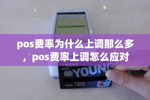 pos费率为什么上调那么多，pos费率上调怎么应对