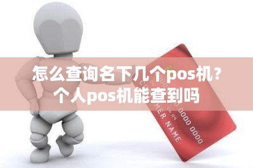 怎么查询名下几个pos机？个人pos机能查到吗