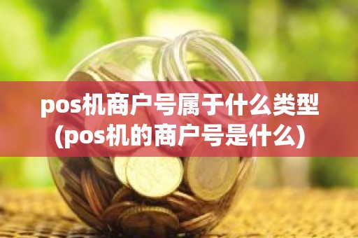pos机商户号属于什么类型(pos机的商户号是什么)