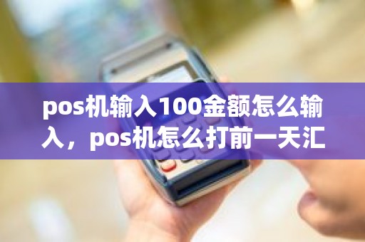 pos机输入100金额怎么输入，pos机怎么打前一天汇总