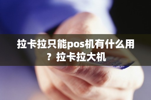 拉卡拉只能pos机有什么用？拉卡拉大机