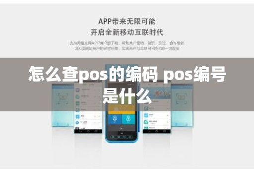 怎么查pos的编码 pos编号是什么