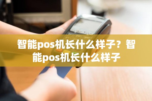 智能pos机长什么样子？智能pos机长什么样子