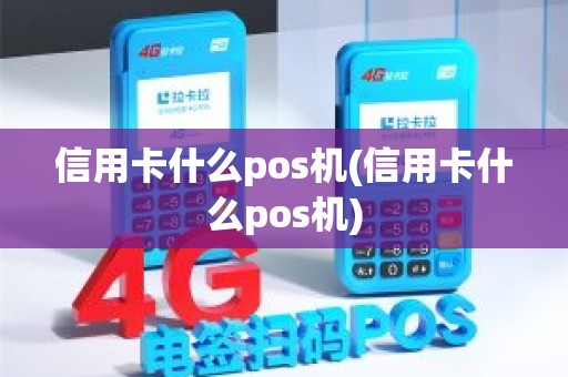 信用卡什么pos机(信用卡什么pos机)