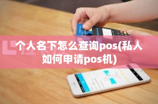 个人名下怎么查询pos(私人如何申请pos机)