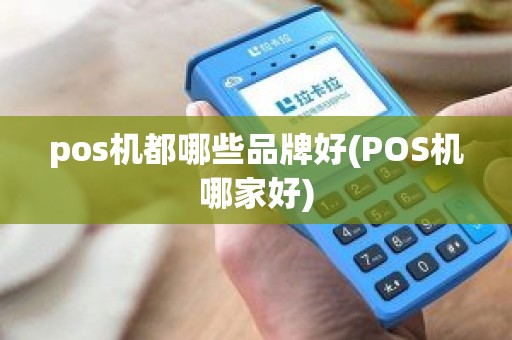 pos机都哪些品牌好(POS机哪家好)