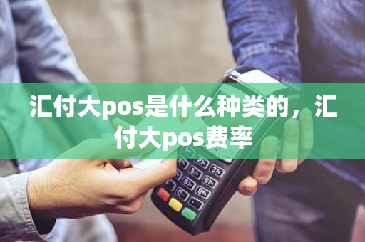 汇付大pos是什么种类的，汇付大pos费率