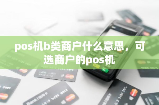 pos机b类商户什么意思，可选商户的pos机