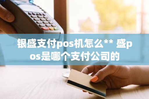 银盛支付pos机怎么** 盛pos是哪个支付公司的