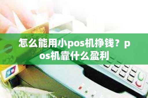 怎么能用小pos机挣钱？pos机靠什么盈利