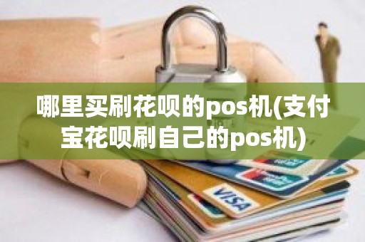 哪里买刷花呗的pos机(支付宝花呗刷自己的pos机)