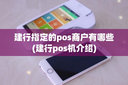 建行指定的pos商户有哪些(建行pos机介绍)
