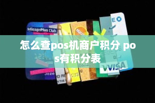 怎么查pos机商户积分 pos有积分表