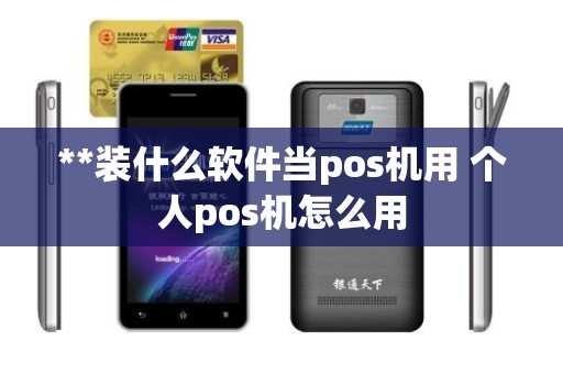 **装什么软件当pos机用 个人pos机怎么用 **装什么软件当pos机用 个人pos机怎么用