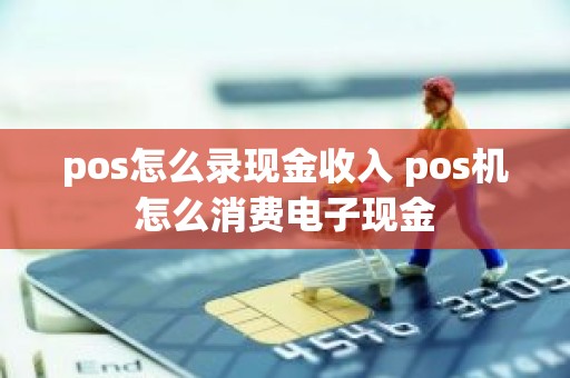 pos怎么录现金收入 pos机怎么消费电子现金