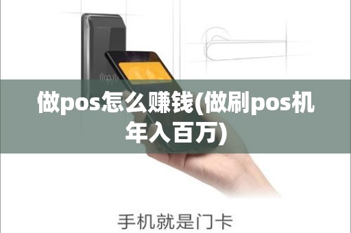 做pos怎么赚钱(做刷pos机年入百万)