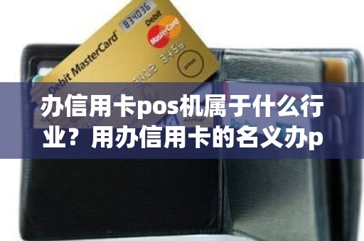 办信用卡pos机属于什么行业？用办信用卡的名义办pos机