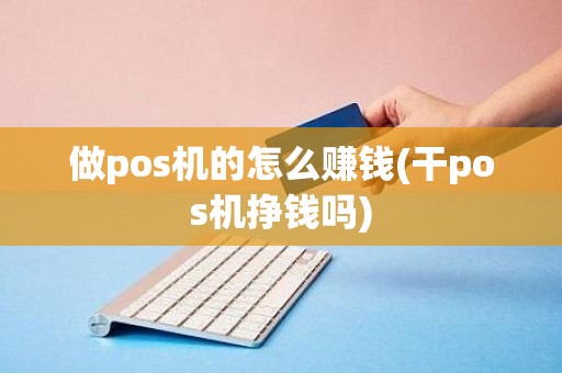 做pos机的怎么赚钱(干pos机挣钱吗)