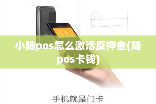 小陆pos怎么激活反押金(陆pos卡钱)