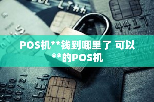 POS机**钱到哪里了 可以**的POS机