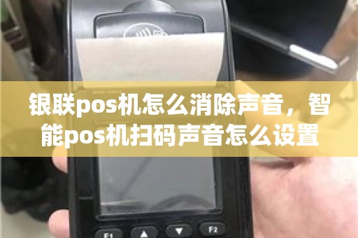 银联pos机怎么消除声音，智能pos机扫码声音怎么设置