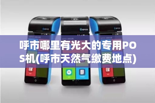 呼市哪里有光大的专用POS机(呼市天然气缴费地点)