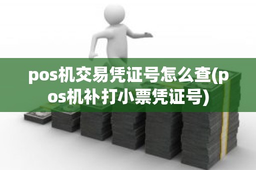 pos机交易凭证号怎么查(pos机补打小票凭证号)
