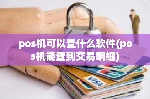 pos机可以查什么软件(pos机能查到交易明细)