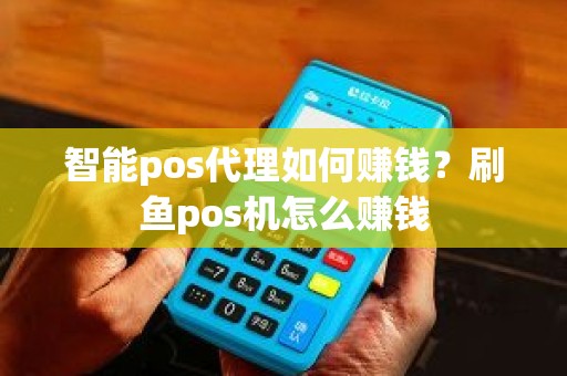 智能pos代理如何赚钱？刷鱼pos机怎么赚钱