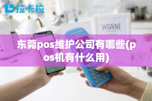 东莞pos维护公司有哪些(pos机有什么用)