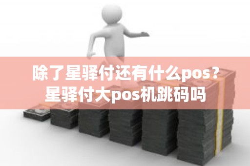 除了星驿付还有什么pos？星驿付大pos机跳码吗