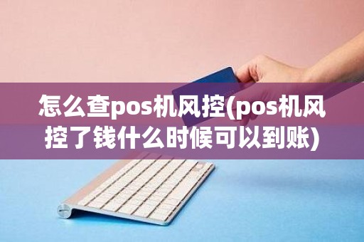 怎么查pos机风控(pos机风控了钱什么时候可以到账)