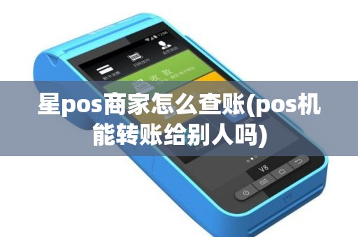 星pos商家怎么查账(pos机能转账给别人吗)
