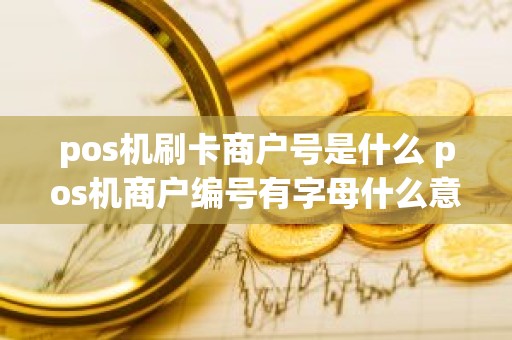 pos机刷卡商户号是什么 pos机商户编号有字母什么意思 pos机刷卡商户号是什么 pos机商户编号有字母什么意思