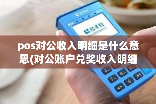 pos对公收入明细是什么意思(对公账户兑奖收入明细)