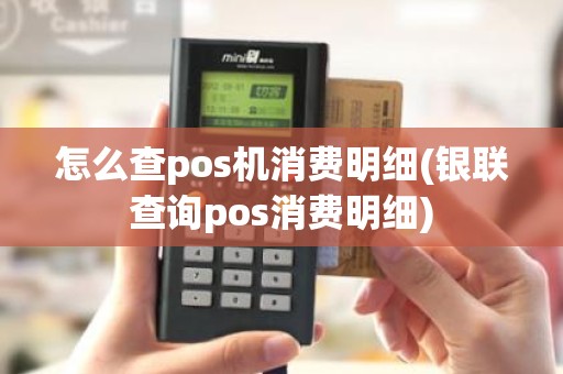 怎么查pos机消费明细(银联查询pos消费明细)