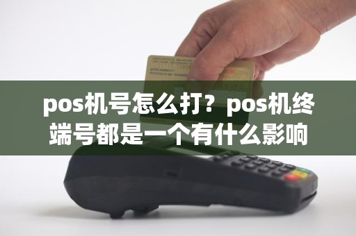 pos机号怎么打？pos机终端号都是一个有什么影响
