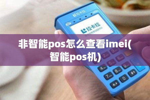 非智能pos怎么查看imei(智能pos机)