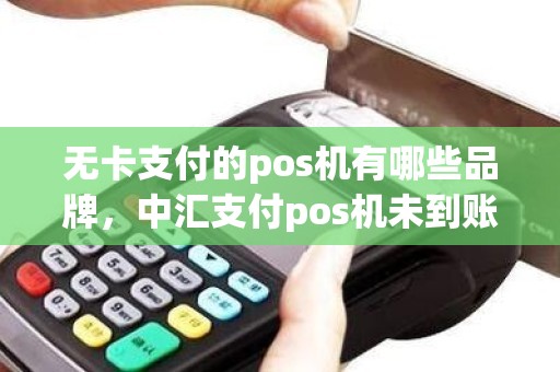 无卡支付的pos机有哪些品牌，中汇支付pos机未到账