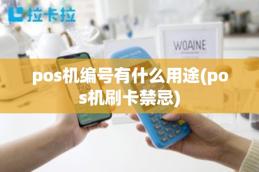 pos机编号有什么用途(pos机刷卡禁忌) pos机编号有什么用途(pos机刷卡禁忌)