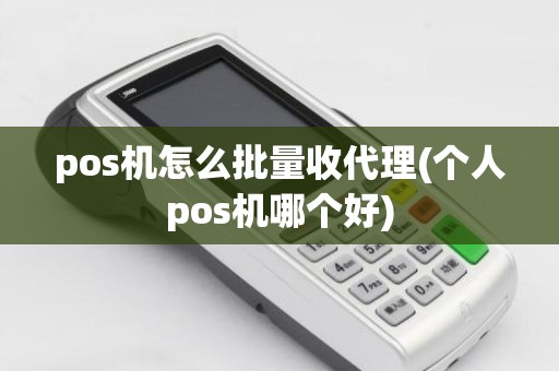 pos机怎么批量收代理(个人pos机哪个好)