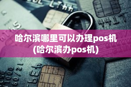 哈尔滨哪里可以办理pos机(哈尔滨办pos机)