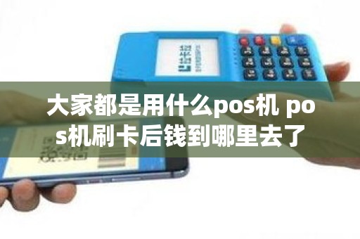 大家都是用什么pos机 pos机刷卡后钱到哪里去了