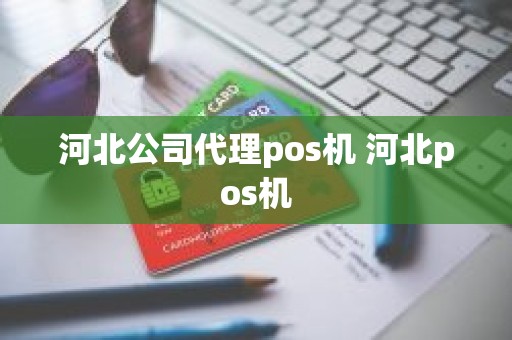 河北公司代理pos机 河北pos机