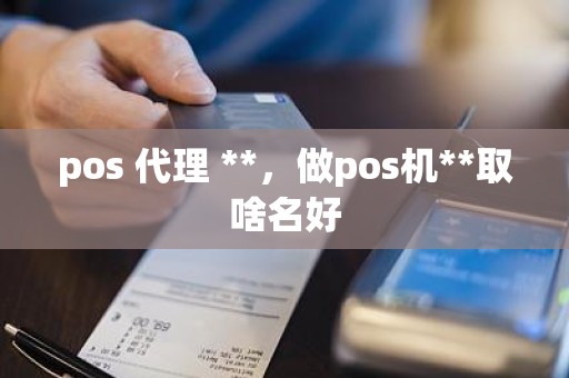 pos 代理 **，做pos机**取啥名好