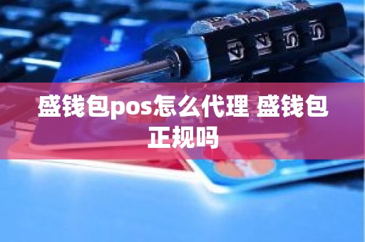 盛钱包pos怎么代理 盛钱包正规吗