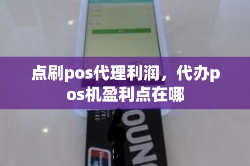 点刷pos代理利润，代办pos机盈利点在哪