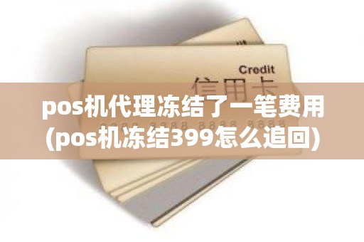 pos机代理冻结了一笔费用(pos机冻结399怎么追回)