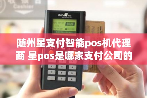 随州星支付智能pos机代理商 星pos是哪家支付公司的