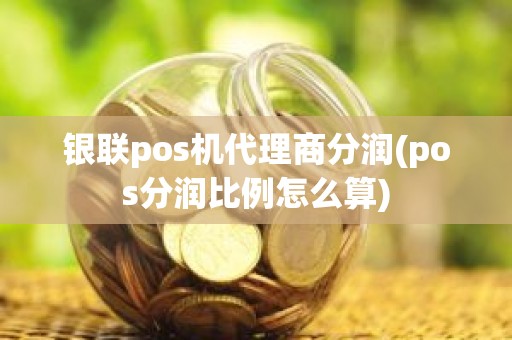 银联pos机代理商分润(pos分润比例怎么算)